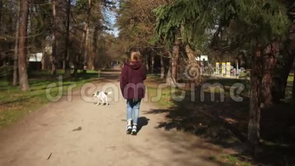 美丽的女孩背着一个背包在春天公园里用皮带遛狗狗走乡村生活宠物护理视频的预览图