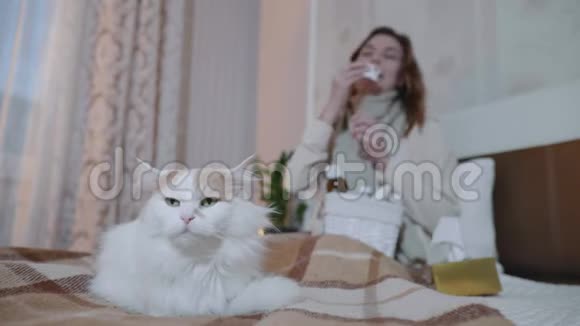 人们和宠物家猫坐在沙发上冷女人打喷嚏吃药保健视频的预览图