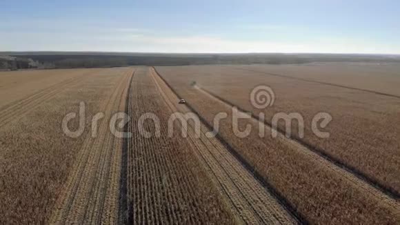 从高处收获玉米田拖拉机视频的预览图