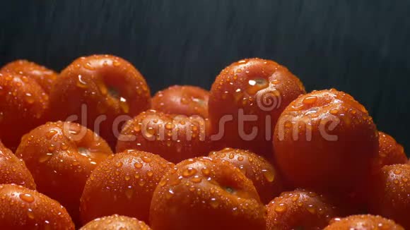西红柿用细喷雾清洗视频的预览图