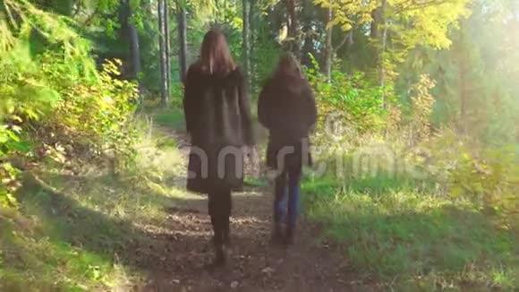 家人在秋天的森林里散步视频的预览图