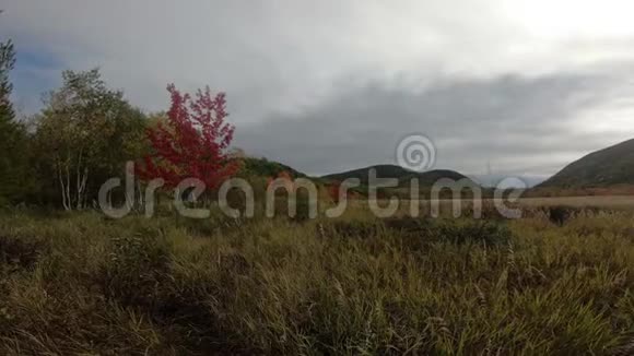 阿卡迪亚国家公园风景视频的预览图