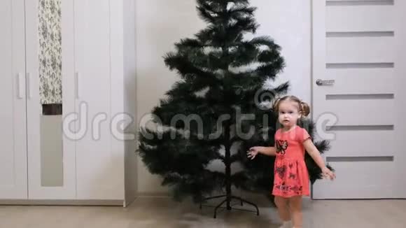 小女孩背对着相机站着欣赏圣诞树一个2岁的女孩看到圣诞树视频的预览图