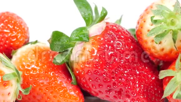 新鲜的有机草莓视频的预览图