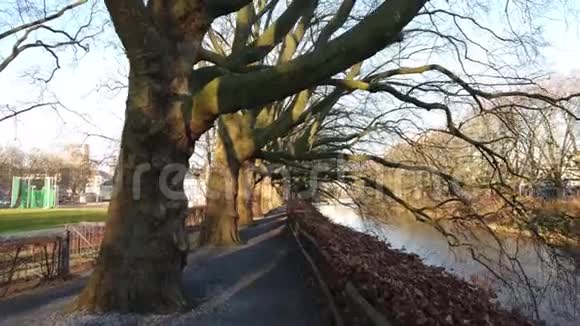 沿着锡尔河走在美丽的小路上上面悬着大树阳光明媚的一天瑞士苏黎世视频的预览图