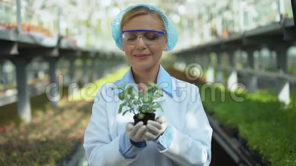 快乐温室员工展示健康的植物和微笑保护代理人视频的预览图