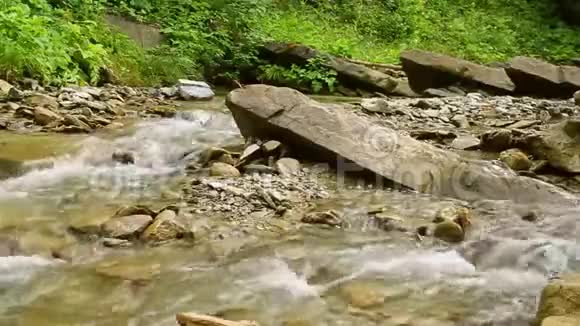 在群山中流淌着河流平静的河水清澈的溪水乌克兰喀尔巴阡山视频的预览图
