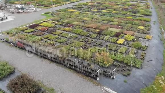 鸟瞰植物园植物栽培视频的预览图