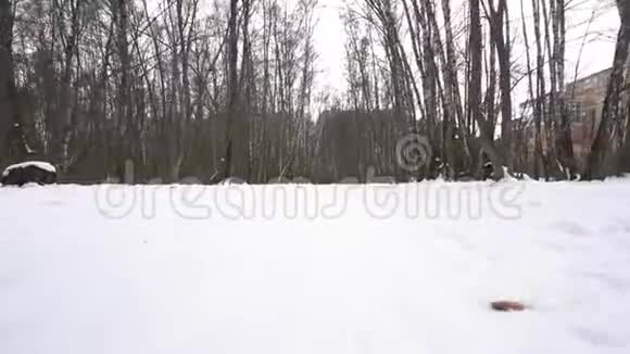 森林雪是冬天森林里的人视频的预览图