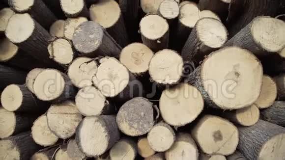 木头大堆的剪树干圆木大的砍伐切碎和锯成的树干储存在木材堆场森林视频的预览图