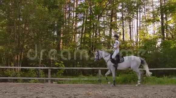 专业更快的骑马从马夫视频的预览图