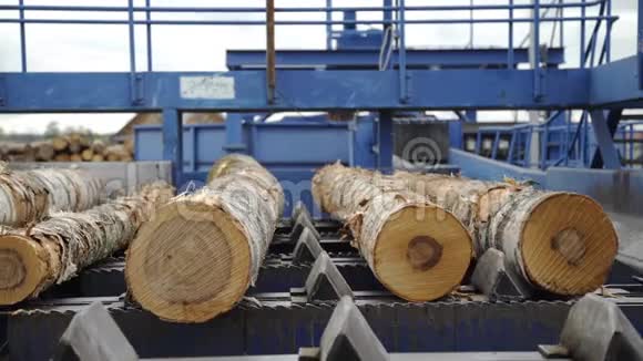 自动日志排序线车轮装载机和自动分拣原木直径在锯木厂木材工业视频的预览图