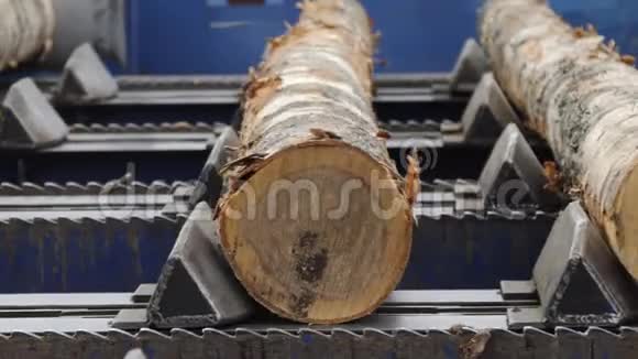 木材工业在切割机前运送原木锯床上的现代切割线输入传送器视频的预览图