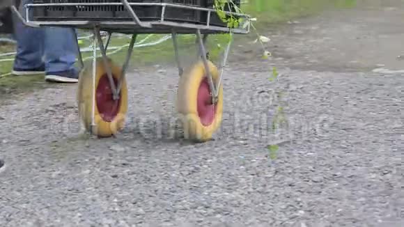 有手推车和户外植物的女园丁视频的预览图
