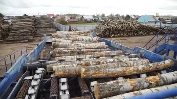 自动日志排序线车轮装载机和自动分拣原木直径在锯木厂木材工业视频的预览图