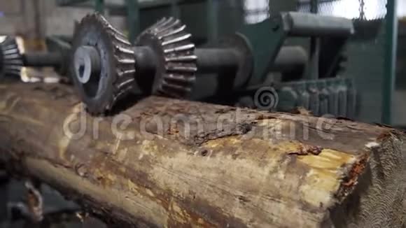 建造木屋用圆木原木的加工用机器从原木上移除树皮日志模式视频的预览图