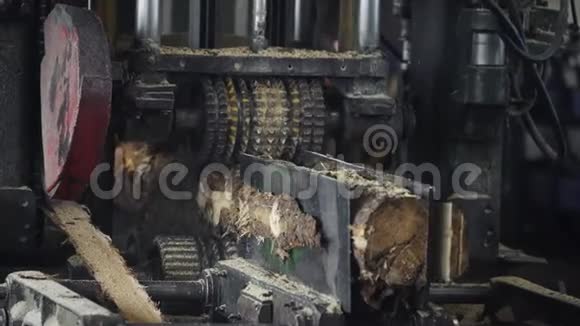 锯木厂制造业过时的锯木机用于加工树干到板的过程视频的预览图