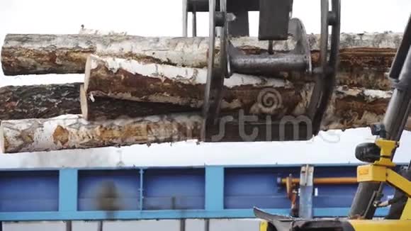 录井的装载设备木材原木的装载机日志加载程序移动一堆松木日志木材工业视频的预览图