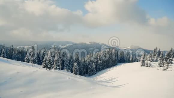 美丽的雪山景观全景白雪覆盖森林视频的预览图