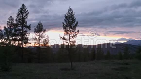 夕阳西下阳光s射线冲破了山中树木的枝桠4K视频的预览图