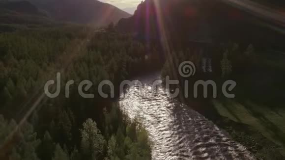 森林景观河面阳光电影拍摄4k视频的预览图