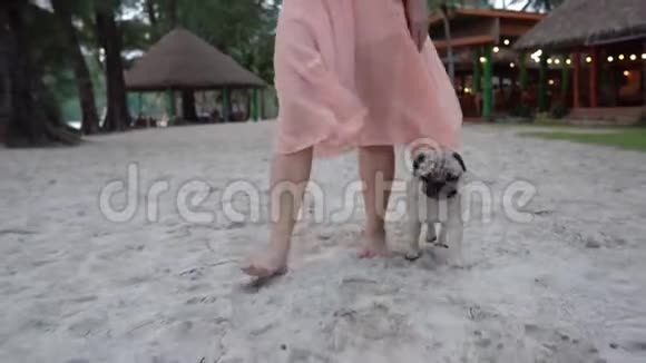 在沙滩上年轻女子赤着脚走在沙滩上脚踩狗视频的预览图