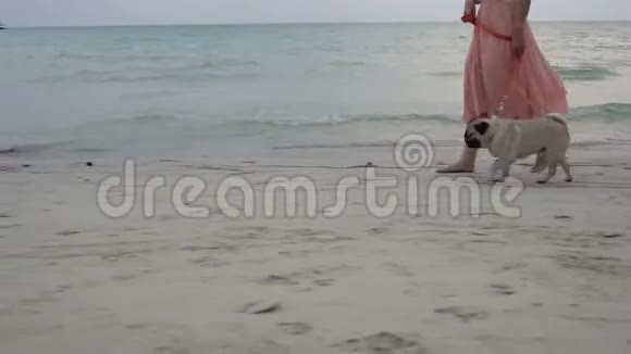 在海滩上年轻女子赤着脚在沙滩上和狗一起散步视频的预览图