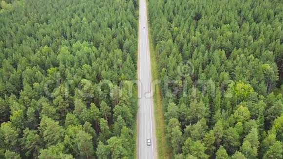 森林乡村道路上汽车驾驶的鸟瞰图视频的预览图