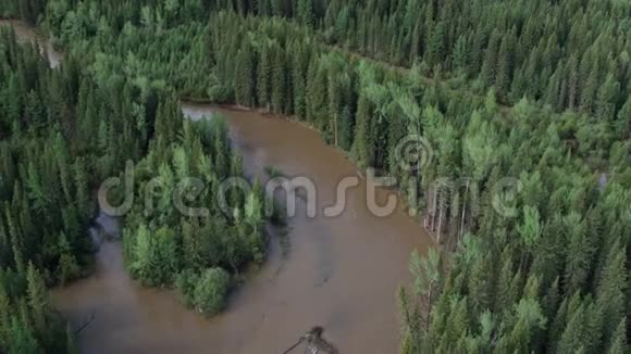森林里美丽的棕色山河从鸟瞰4k视频的预览图