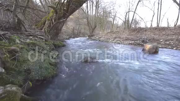 卡辛村附近的Zolna小河视频的预览图
