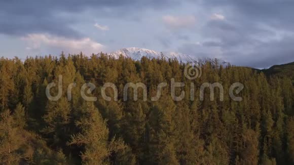 红色日落从森林飞到雪山4K视频的预览图