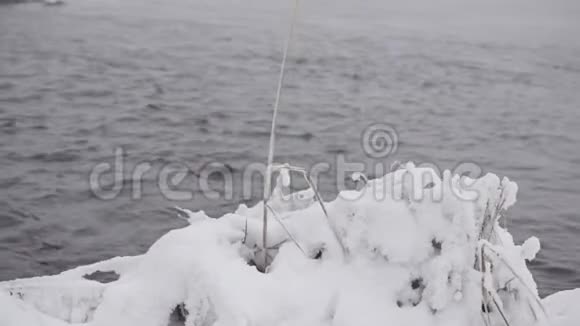 冬天的河岸视频的预览图