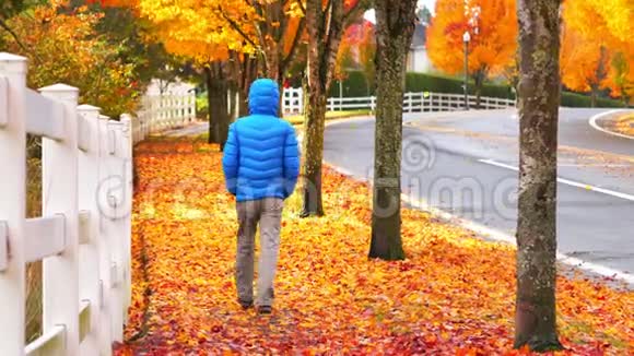 人走在人行道上秋叶飘落视频的预览图