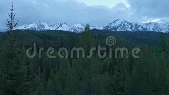 飞过树梢飞出雪山4K视频的预览图