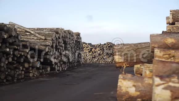 在木工工厂里用多利木制木材拍摄工业木材储存已经爆炸的树干剪树树干视频的预览图
