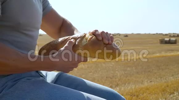 男人用手在麦田里掰一块面包视频的预览图