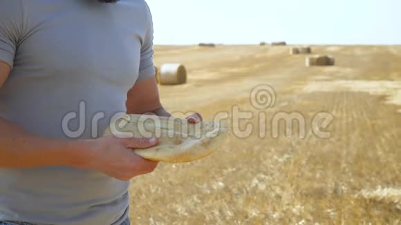 男人用手在麦田里掰一块面包视频的预览图