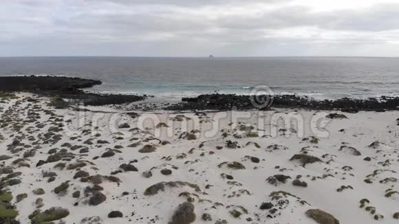 兰萨罗特有海洋和黑色石头的海滩空中景观视频的预览图
