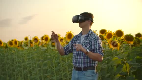 用于模拟向日葵领域的VR眼镜视频的预览图