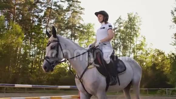 最好的骑马时刻和最喜欢的马视频的预览图
