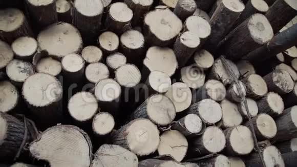 刚剪好的树木原木堆起来工业木材储存已经爆炸的树干砍柴树全景视频的预览图