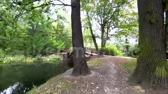 在阳光明媚的夏日沿着河流穿过一个空荡荡的城市公园视频的预览图