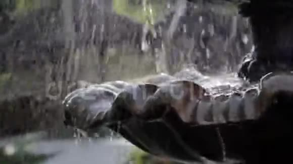 照相机靠近喷泉的碗水落在喷泉里视频的预览图