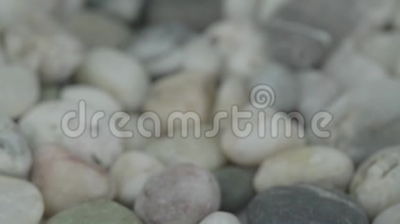 不同形状的灰色和白色卵石视频的预览图