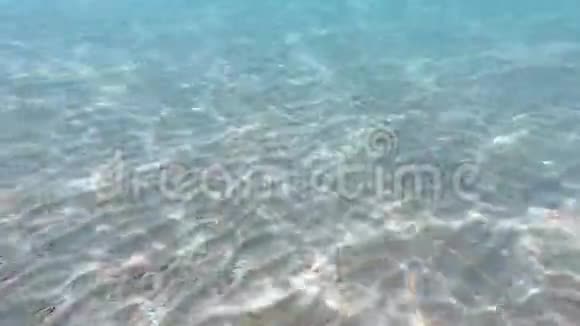干净的水具有沙质海底的水下背景天然纹理视频的预览图