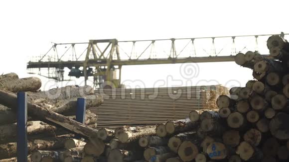 木工工厂多利树木原木工业木材储存已经爆炸的树干木柴全景视频的预览图
