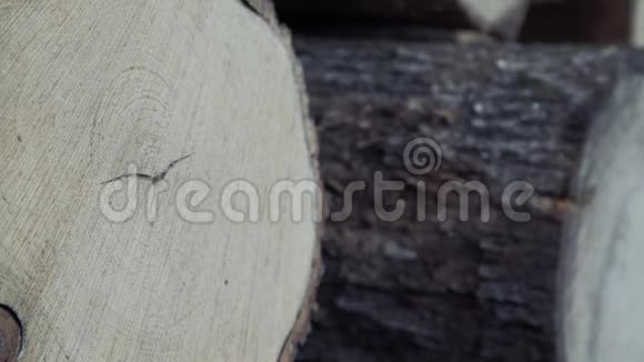 近距离拍摄木原木工业木材储存已经爆炸的树干更改对日志的关注视频的预览图