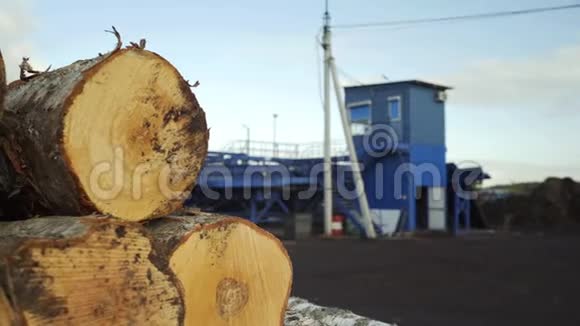 木工工厂多利树木原木工业木材储存已经爆炸的树干木柴全景视频的预览图
