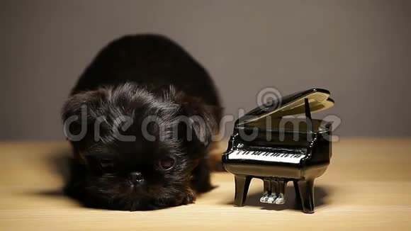 Pppy黑色钢琴木制桌子高清镜头视频的预览图