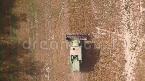 联合收割机在麦田采集谷物的高空俯视图视频的预览图